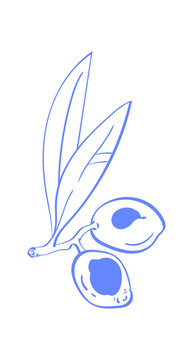 Whimsical olive branch in minimalist blue style. Cute hand drawn leaves and fruit form a simple mediterranean food icon. Linear doodle suits cafe or restaurant menu background, invitation card,