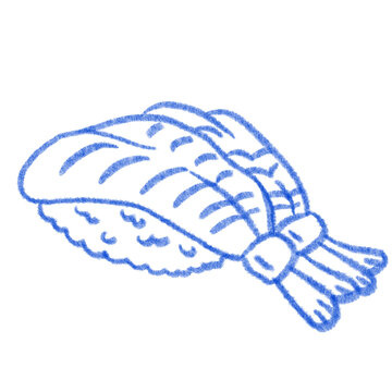 Blue line art ebi shrimp nigiri sushi vector illustration isolated on transparent background. Cute hand drawn Japanese food icon.
