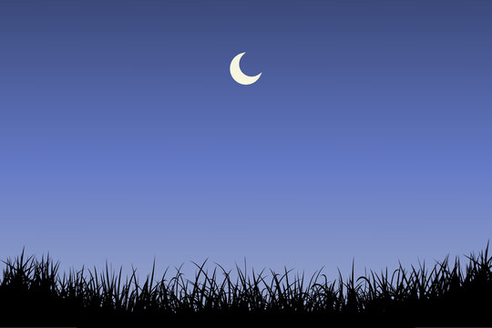 Night Sky Gradient Background with Crescent Moon and Silhouette Grass, Perfect for Backdrop, Wallpaper, Presentation, and Banner.