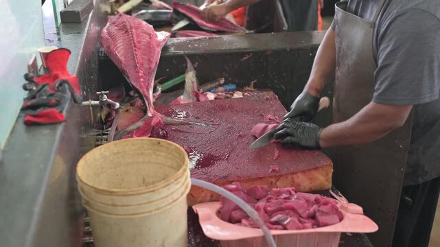Fish Vendor Cutting Fish for Customer at Mutrah Fish Market, Oman . High Quality premium 4K video footage.