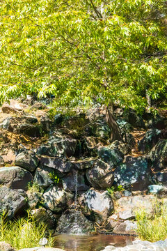 Small waterfall over rocks beneath green tree in garden
