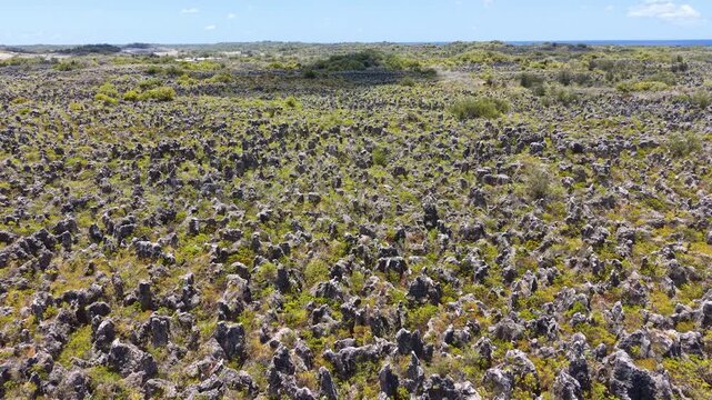 Aerial drone view of a field of sharp limestone rocks on old mining land, Nauru.