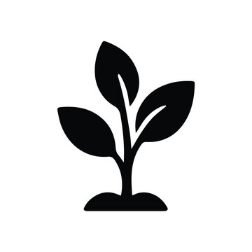 plant vector silhouette