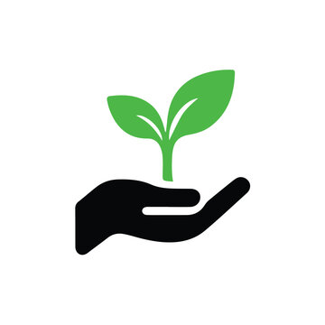 vector hand holding a plant