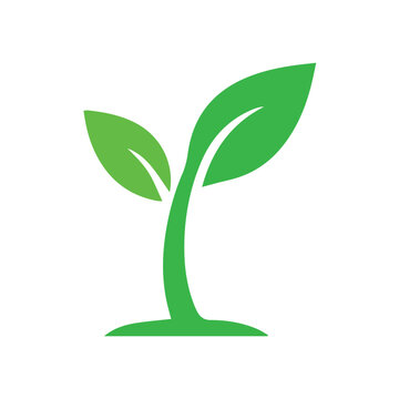 green plant vector silhouette
