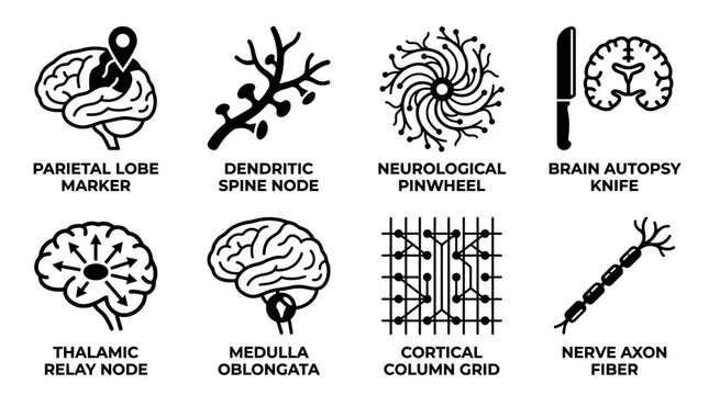 Scientific icons representing neurological structures and brain research examination tools with parietal dendrite neurology thalamic cortical biological structure
