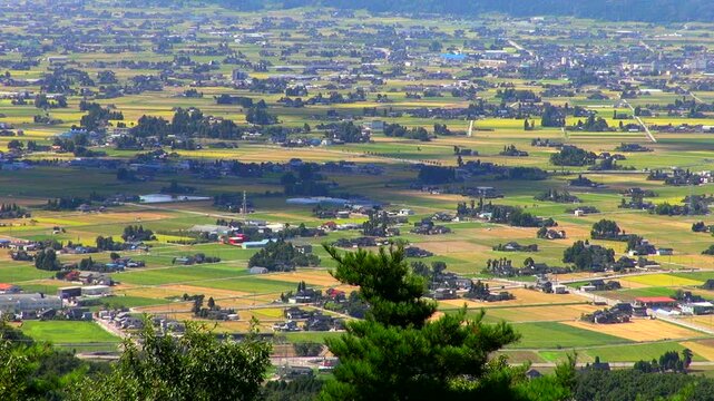 砺波平野