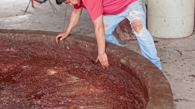 Artisan worker fermenting cooked agave for mezcal production