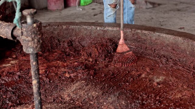 Artisan worker raking fermented agave mash for mezcal production