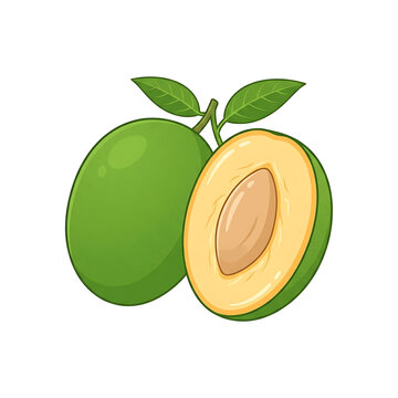 African Mango Bush Mango Whole and Cut Fruit Cartoon Vector Illustration