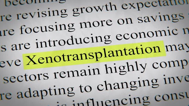 Minimal cinematic of xenotransplantation text animation designed for documentary, economic, technology, and news-related storytelling.