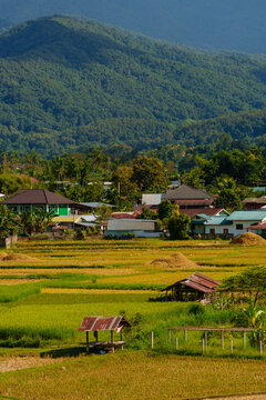 Scenic View of Harvested Terraced Rice Fields and Huts Against Green Forested Mountain Background