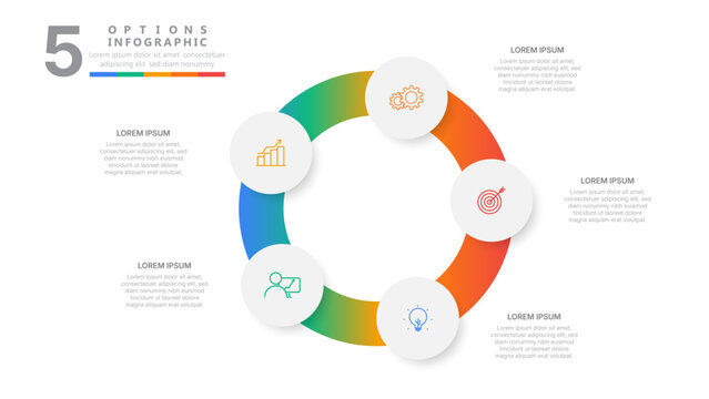 Modern 5 options infographic template with colorful circular cycle ring, business data visualization, and process flowchart design