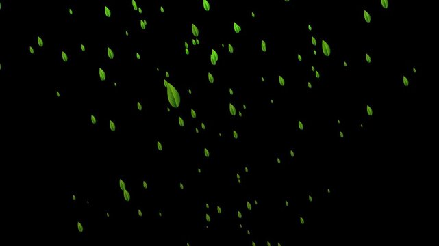 Green Leaves Falling Motion Graphics Overlay with Black Background Falling Green Leaves Effect on Black Background Motion Graphics