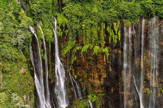 Tumpak Sewu Waterfall in Lumajang, East Java, Indonesia. Hundreds of cascading streams fall from a curved cliff into a lush tropical gorge, surrounded by dense rainforest and rising mist.