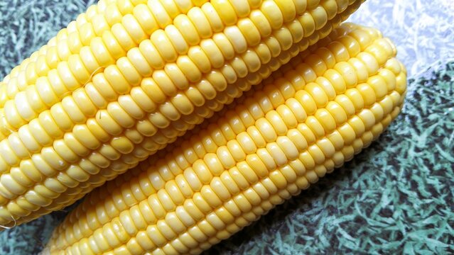 corn on the cob