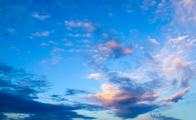 Blue sunset sky background with soft pink lit clouds drifting across the frame and a few small birds flying in the evening air, panoramic landscape © syntheticmessiah