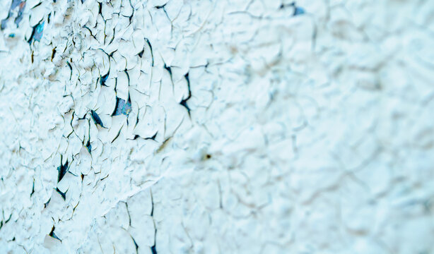 Texture background with white peeling paint on an old surface and fine cracks exposing a dark blue underlayer beneath, panoramic backdrop