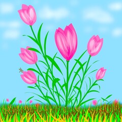 pink tulips on green grass © novitriani
