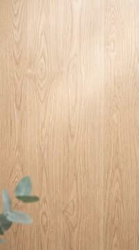 Natural oak wood grain texture background with soft light and eucalyptus leaf corner