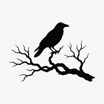 Crow raven perched on bare twisted tree branch silhouette vector halloween design