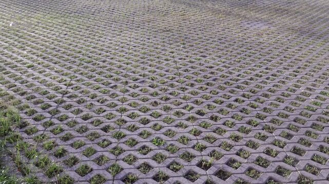 Interlocking concrete pavers form a permeable grid pattern with sprouting grass