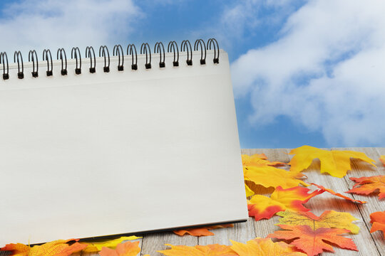 Autumn scene with fall leaves with a notepad on wood bench for your autumn message