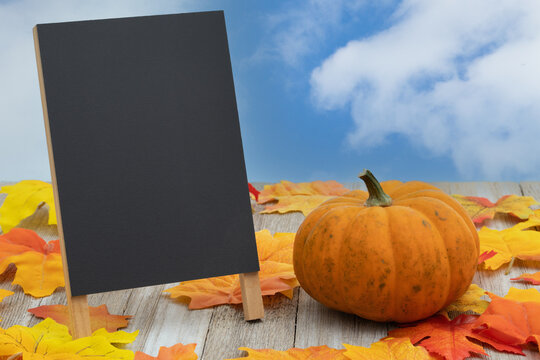 Autumn scene with fall leaves, pumpkin and blank chalkboard sign on wood bench with sky for your autumn message