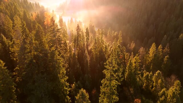 Dawn in the mountains in autumn. Sun rays break through the morning fog.