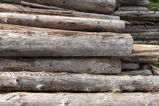 A pile of weathered gray logs stacked outdoors showing rough bark, knots and natural wood grain, suitable for rustic backgrounds, construction or landscaping projects, texture references