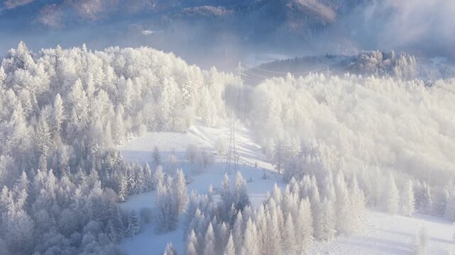 Aerial view of a forest covered with frost on the mountain slopes