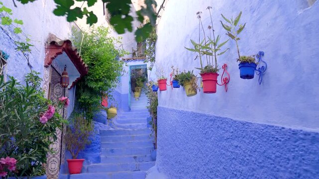 Chefchaouen, Morocco, the blue city, a narrow blue-painted alley and stairs in the medina, the walls hung with colorful flower pots and green climbing plants