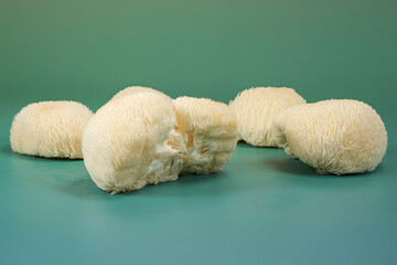 Several fresh Lion's Mane mushrooms arranged on a teal surface, with one broken open to reveal its fibrous interior and distinctive spiny texture. © DEWINs