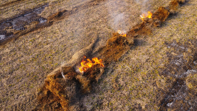 Aerial View of Straw Windrow Burning in Agricultural Field