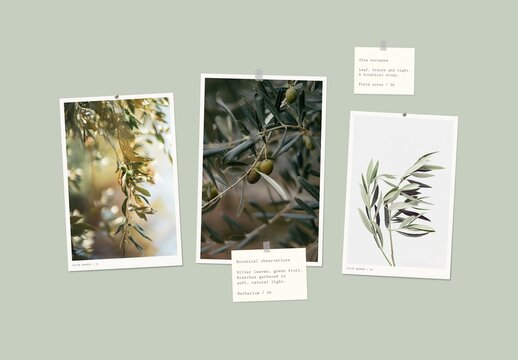 Row Photo Collage Mockup For Branding And Advertising Design