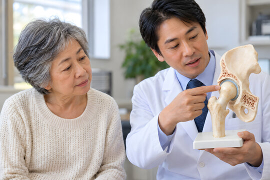 Clinician explaining a hip joint model to an older Asian woman