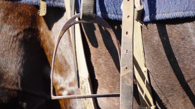 A metal horse stirrup hangs from a leather strap against a saddle and the dark brown coat of a horse during daylight.