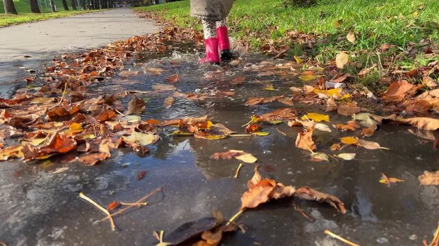 A child in pink rubber boots walks away through a puddle filled with autumn leaves, outdoor play, childhood exploration, seasonal leisure.
