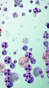 Vertical white blood cells floating on soft mint background with copy space, abstract immune system medical background, seamless loop 9:16.