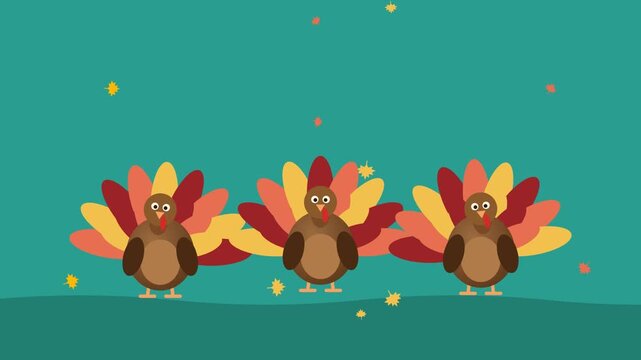 Three cartoon turkeys bobbing together on teal background, Thanksgiving seamless loop flat animation