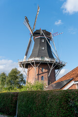 A traditional Dutch style tower windmill rises above a green hedge, featuring a red brick base, black tapered upper tower, four wooden lattice sails and a white gallery. The historic wind powered mill © Volha