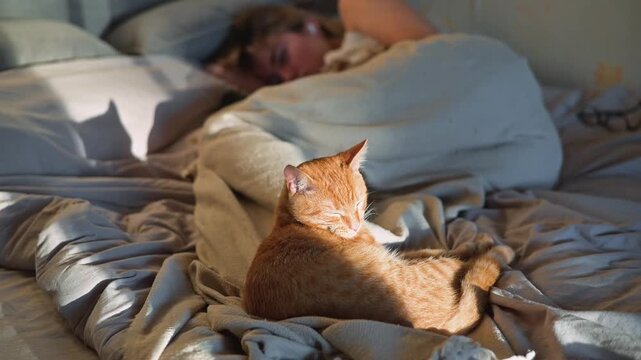 An orange cat sits on rumpled bedding beside a person lying under a blanket indoors. The cat turns its head as daylight falls across the bed