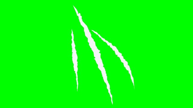 Eagle Talon Clutching Slash Attack Rip 4K Loop Isolated on Green Screen Background for Chroma Keying
