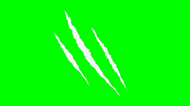 Bengal Tiger Curved Claws Swipe Slashing Rip 4K Loop Isolated on Green Screen Background for Chroma Keying