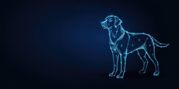 Low poly wireframe labrador retriever dog silhouette with glowing nodes and lines