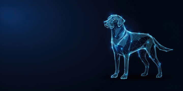 Low poly wireframe labrador retriever dog silhouette in glowing blue light