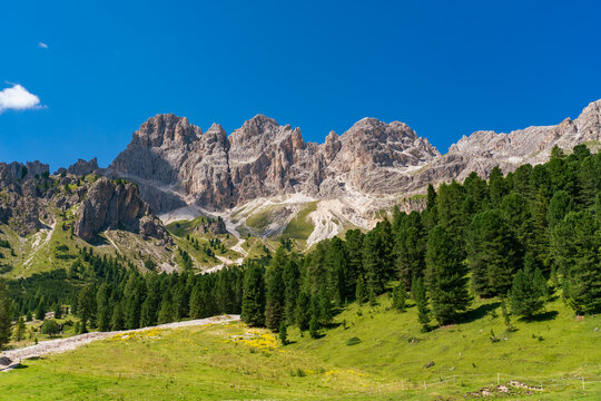 Expansive alpine landscape featuring rugged pale limestone peaks above a lush green mountain meadow and dense conifer forest beneath a deep blue summer sky
