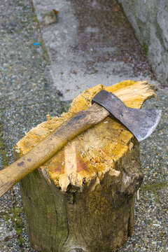 A rustic axe rests on a freshly cut tree stump in an outdoor woodland setting, surrounded by gravel, weathered stone, and wood chips