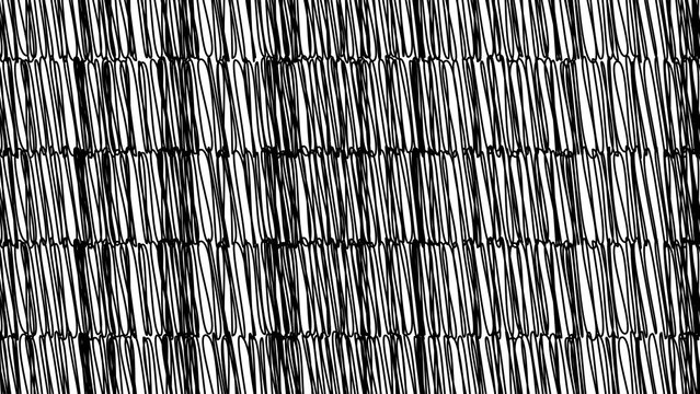 Parallel lines create a dense black and white striped pattern