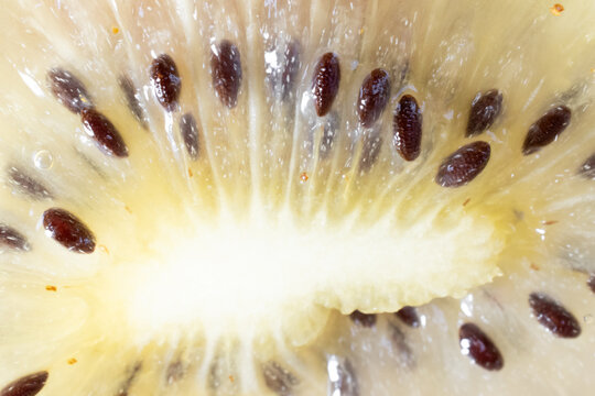 Golden kiwi core and glossy brown seeds, extreme macro texture